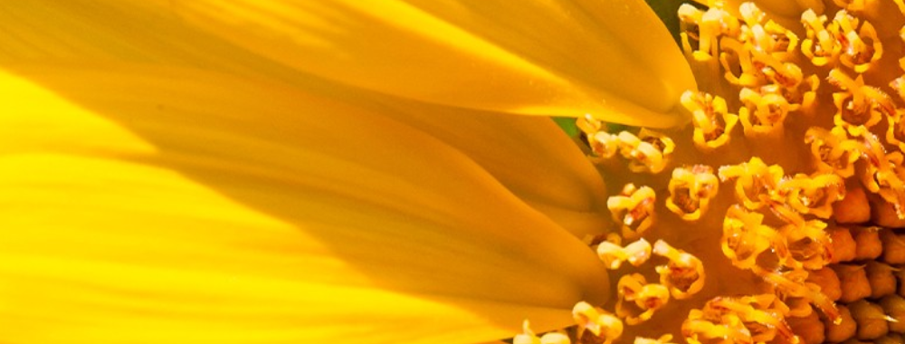 Solari e aria aperta